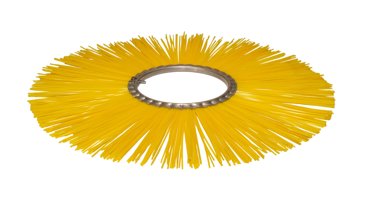 Børsteringe Børsteringe