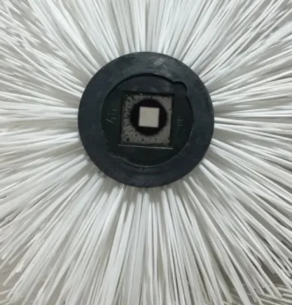 Børstevalse Børstevalse