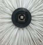 Børstevalse Børstevalse